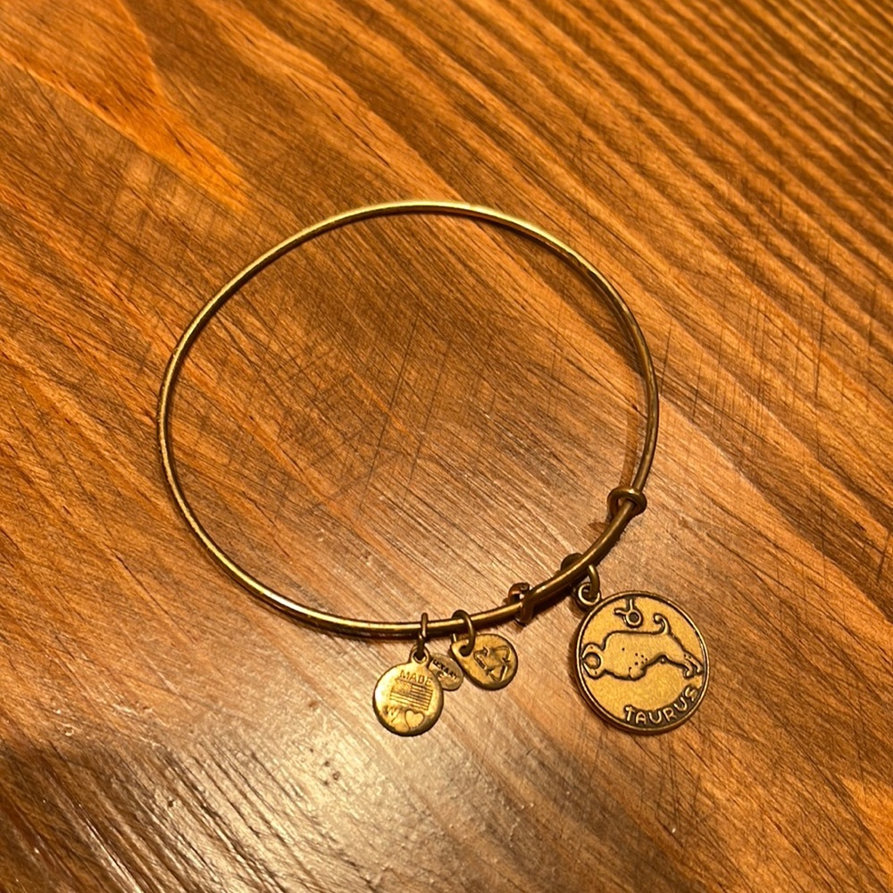 Alex and Ani Charm Bracelet Taurus